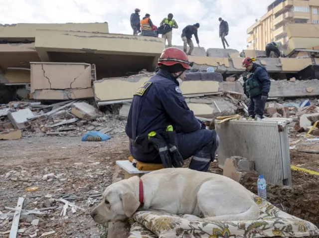 Түркиядагы зилзала