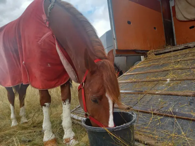 Чабыштагы кыргыз күлүгүнүн бири