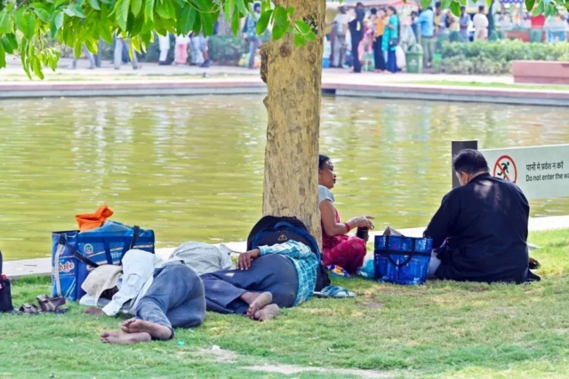 델리의 나무 그늘 아래에서 휴식을 취하는 사람들