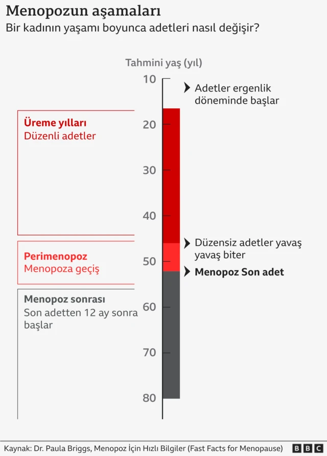 Menopozun aşamalarını gösteren bir grafik.