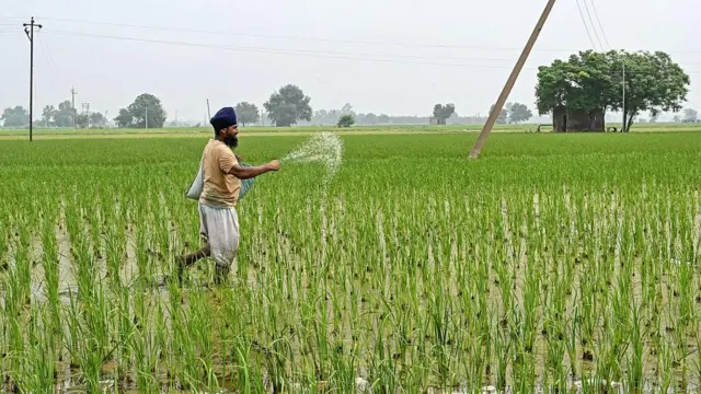 ਖੇਤੀ