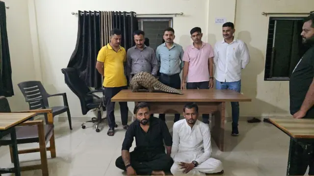 રાજકોટ, પેંગોલીન, બીબીસી ગુજરાતી