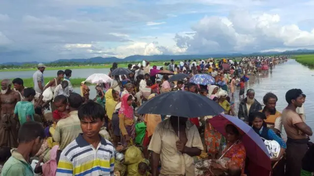 মিয়ানমারে নির্যাতন থেকে বাঁচতে ১১ লাখের বেশি রোহিঙ্গা পালিয়ে বাংলাদেশে আশ্রয় নিয়েছে