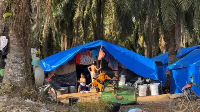 Hingga awal Januari 2026, pengungsi di Desa Geudumbak, Kecamatan Langkahan, Kabupaten Aceh Utara masih bertahan dibawah selembar terpal yang disokong sebilah kayu tanpa dinding.