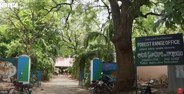 కలివికోడి, ఆంధ్రప్రదేశ్, కడప, వైఎస్సార్ జిల్లా