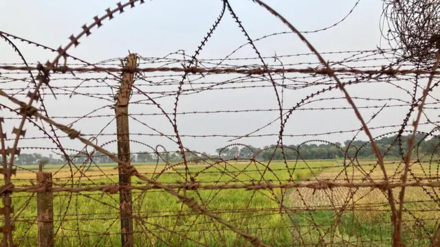 কাঁটাতারের বেড়ার অপর দিকে যে ভারতীয় কৃষি জমি আছে, সেখানে কী চাষ করা যাবে, তাও ঠিক করে দেয় বিএসএফ