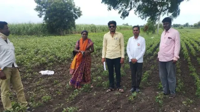 परभणीतील पाथरी तालुक्यात पिकांची पाहणी करताना कृषी विभागातील अधिकारी.