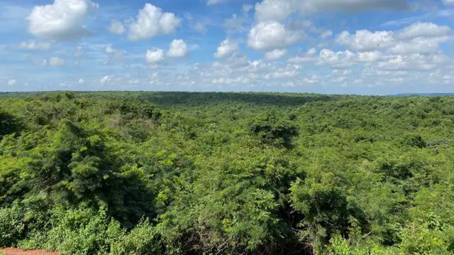 దామగుండం అడవి