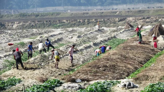 जग्गा वर्गीकरण 