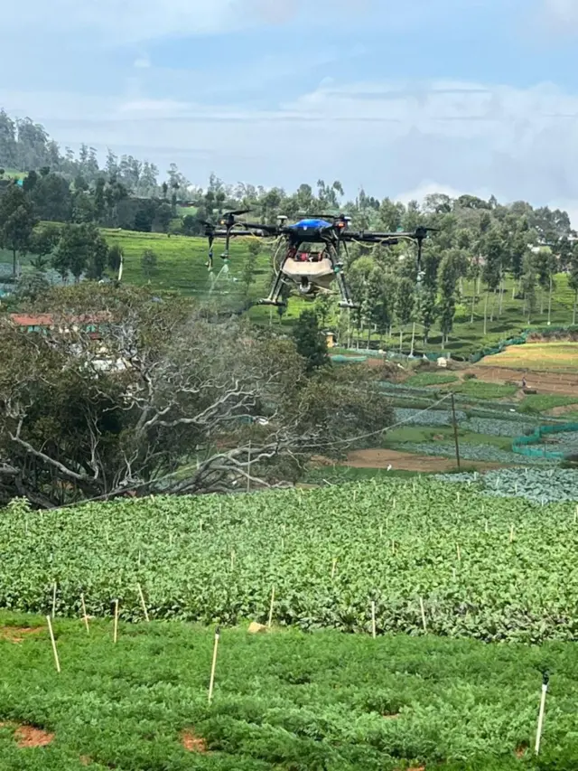 டிரோன் மூலம் பூச்சிக்கொல்லி தெளிப்பு