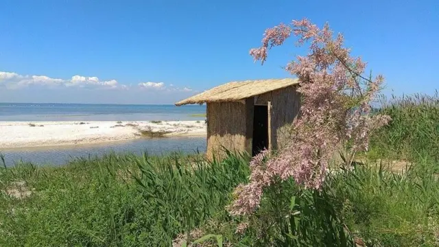 лиман Шагани