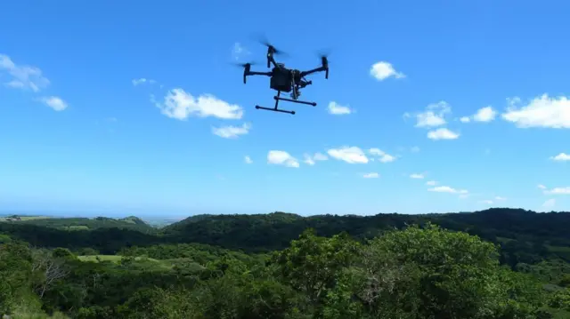 Un dron sobrevuela el bosque oNgoye. 