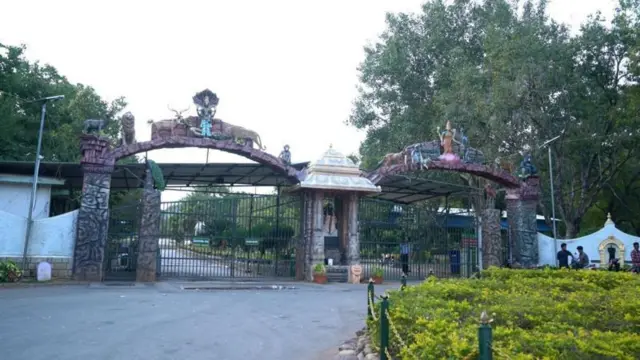 திருப்பதி உயிரியல் பூங்கா சிங்கம்