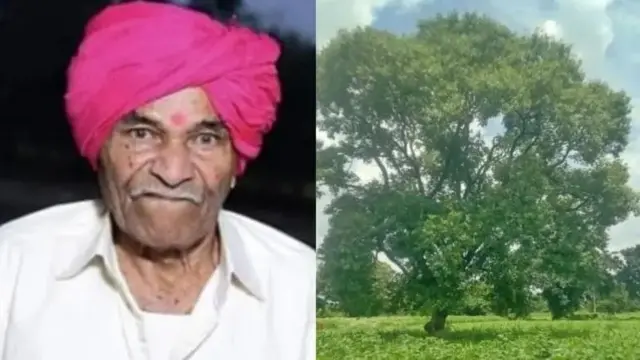 செம்மரத்திற்கு ரூ.1 கோடி இழப்பீட்டைப் பெற்ற விவசாயி, மகாராஷ்டிரா செய்திகள், மும்பை, பம்பாய் உயர் நீதிமன்றம்