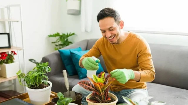 « Nous sommes programmés par l'évolution pour répondre à la nature ».