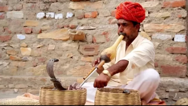 Dalka Hindiya Masaska qaar waa la tababaraa