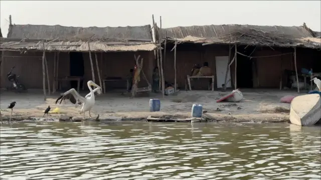 سندھ