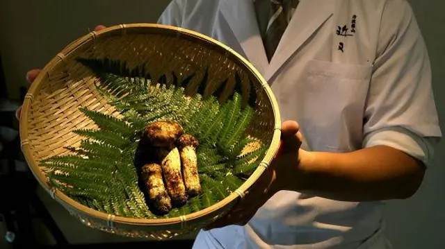 Jamur matsutake tumbuh di Hiroshima pasca bom atom jatuh di kota itu pada 1945.