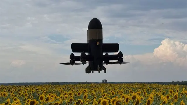 Дрон перехоплювач взлітає над полем соняхів