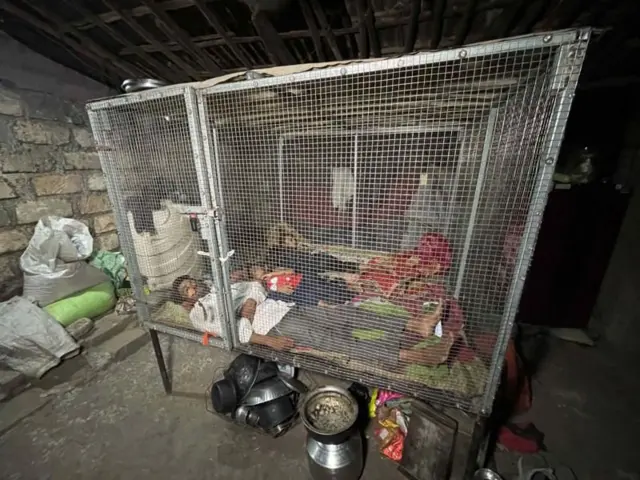 બીબીસી ગુજરાતી, ગુજરાત, સૌરાષ્ટ્ર, સિંહ, દીપડો, 