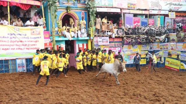 பாலமேடு ஜல்லிக்கட்டு