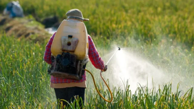 ਫੰਗਸ-ਨਾਸ਼ਕ