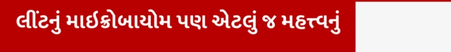 લીંટનું માઇક્રોબાયોમ પણ એટલું જ મહત્ત્વનું
