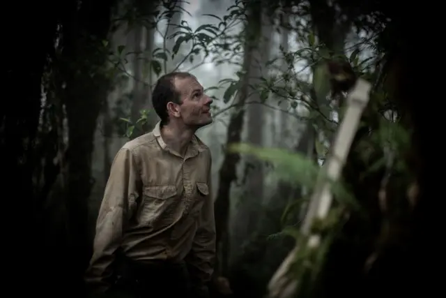 echidna, ekidna, Papua, Cycloop, keragaman hayati, pegunungan, hutan, spesies, ilmuwan