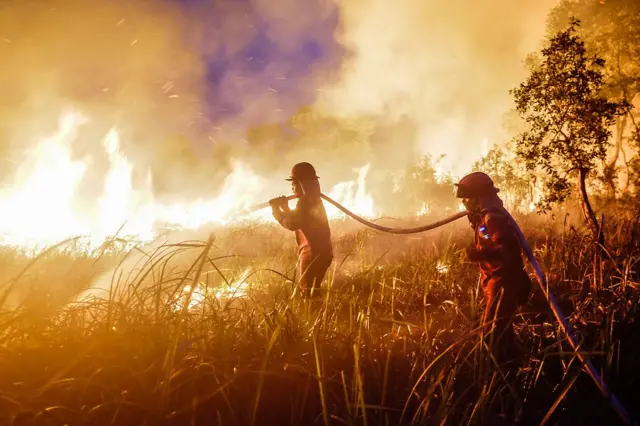 kebakaran lahan di Kabupaten Ogan Ilir, Sumatera Selatan, pada 15 Agustus 2026.