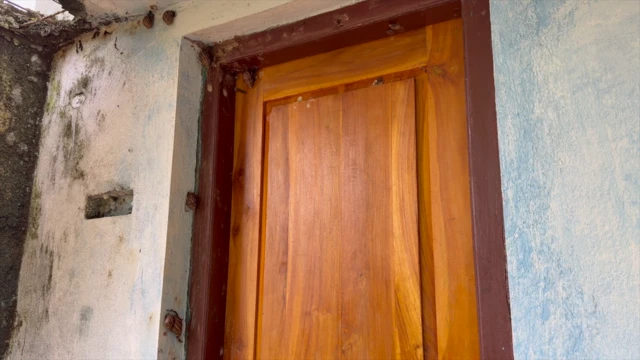 ఇళ్ల చుట్టూ నత్తలే