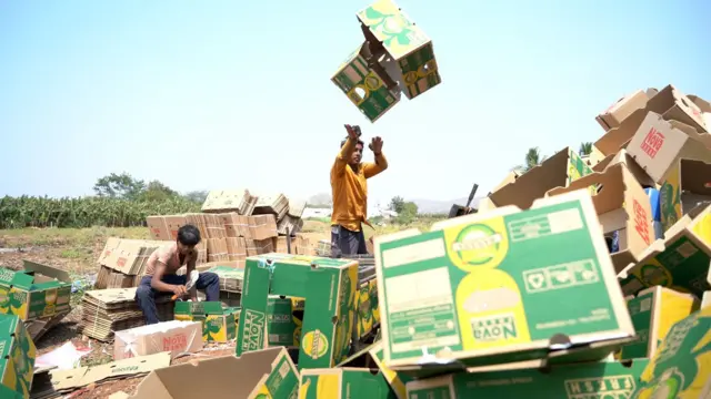 భారత్, ఆంధ్రప్రదేశ్, అరటి, రైతులు, అమెరికా, ఇరాన్, మిడిల్ ఈస్ట్