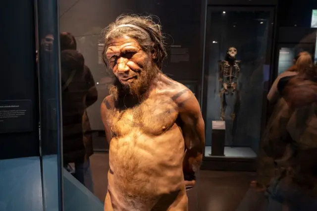Recriação de um neandertal, na exposição sobre a evolução humana do Museu de História Natural de Londres
