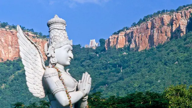 திருப்பதி, திருமலை, ஏழுமலையான் கோவில், No-fly zone, பிரமோற்சவம், Tirupati Arial view , ராம்மோகன் நாயுடு, ஆகம விதிகள்