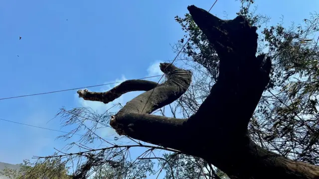 విమాన ప్రమాదం, ఎయిర్ ఇండియా, అహ్మదాబాద్ 