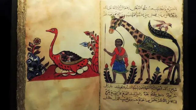 কিতাব আল-হায়ওয়ান