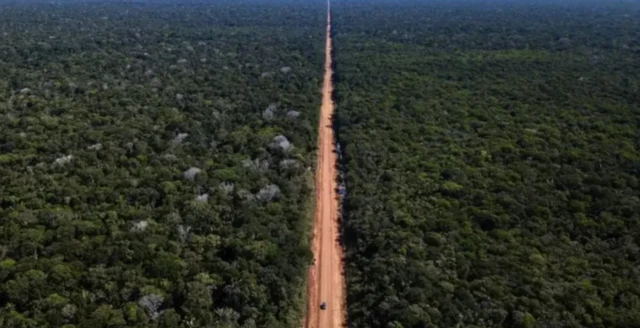 Imagem mostra leito de rodovia BR-319 cortando uma área de floresta preservada