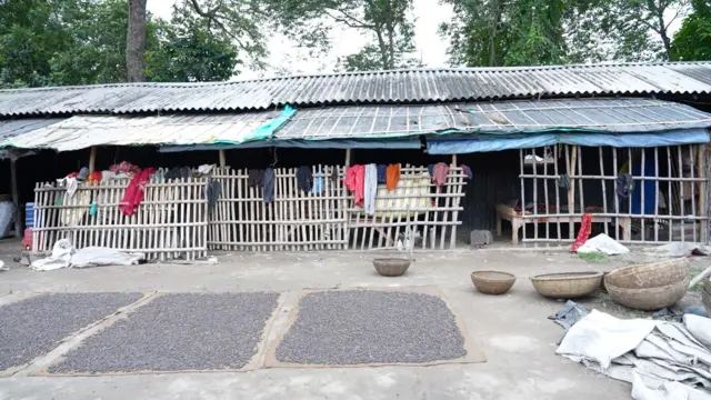 पूर्णिया के ख़ुश्कीबाग़ में दरभंगा से आए मखाना मज़दूरों ने अपनी 6 माह की अस्थायी कॉलोनी बसा ली है. ये लोग भी वोटर लिस्ट को लेकर आशंकित हैं