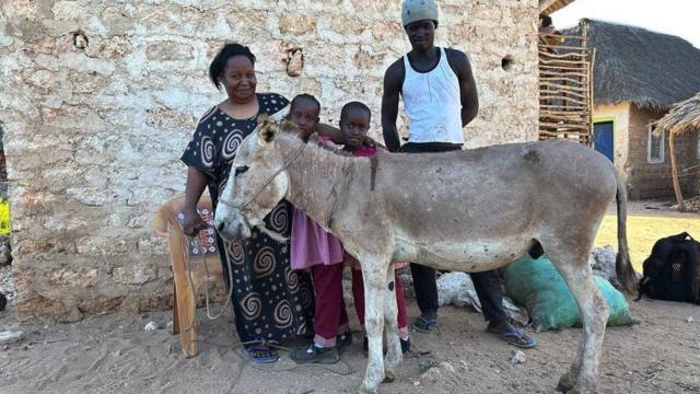 கழுதைகள்