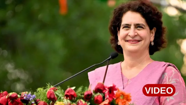 ప్రియాంకా గాంధీ, వయనాడ్ ఉప ఎన్నిక