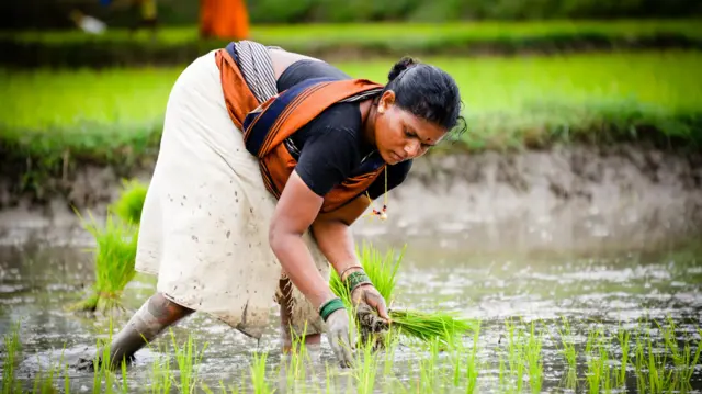 காவிரி நீர்