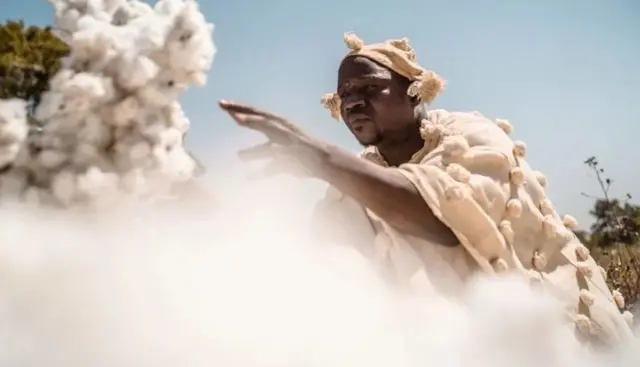 Un cultivateur de coton