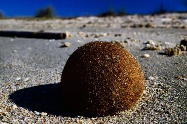 Pelotas de Neptuno