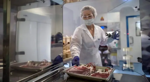 गर्भनाल कॉर्ड ब्लड बैंक