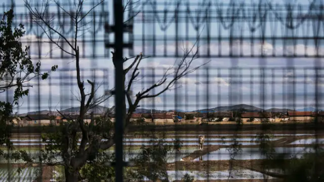 2017 年 5 月 23 日，在中国丹东，可透过带有铁丝网的围栏，看见一名朝鲜农民；丹东是位于中国辽宁省的边境城市，与朝鲜新义州隔江相望。