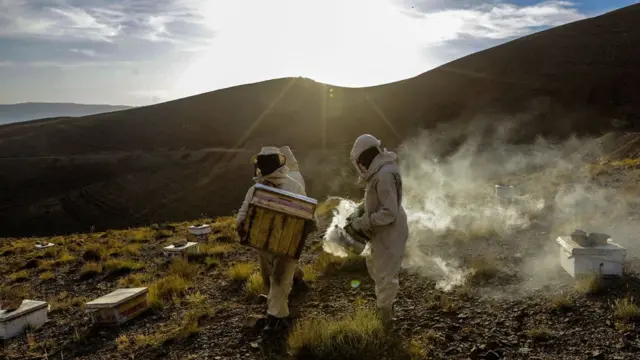 Masu kiwon zuma su na yin hayaƙi a tsaunin Morocco. An ɗauki hoton ne a ranar Juma'a 29 ga watan Ogustan 2025.