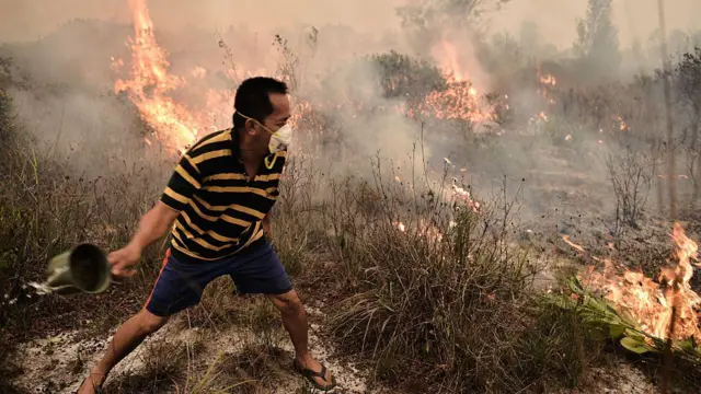Warga Palangkaraya mencoba memadamkan api saat kebakaran hutan dan lahan pada 2015.