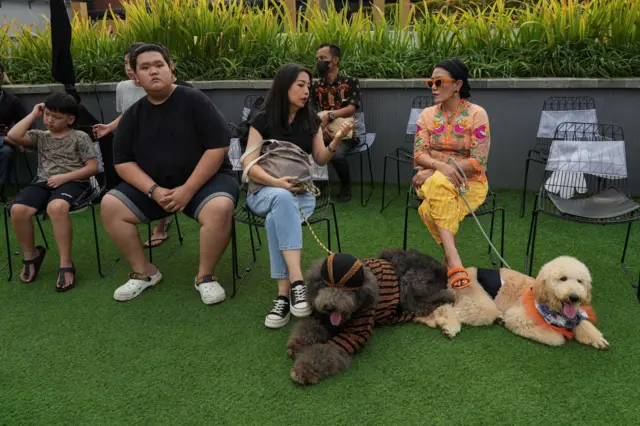 Sebagian undangan membawa anjing kesayangannya.