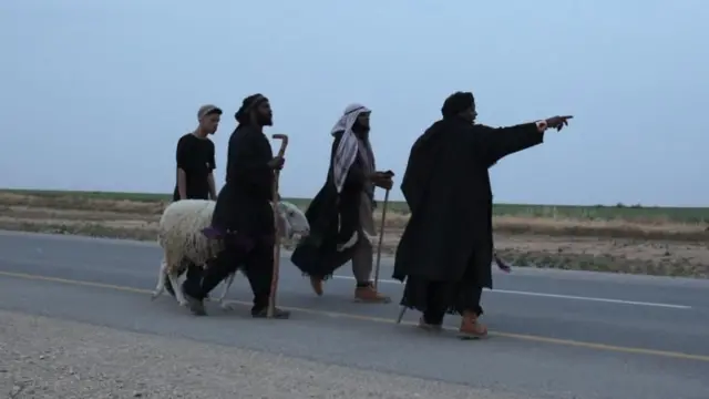 జంతు బలి