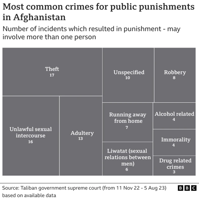 절도 17건, 불법적인 성관계 16건, 간통 13건, 불특정 범죄 10건, 강도 8건, 가출 7건 등 아프가니스탄에서 공개 처벌의 대상이 되는 죄명을 나타낸 그래프