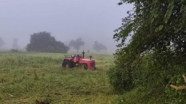 இலங்கை, மட்டக்களப்பு, தமிழர்கள், சிங்களர்கள், விவசாயம், கால்நடை, மாடுகள்